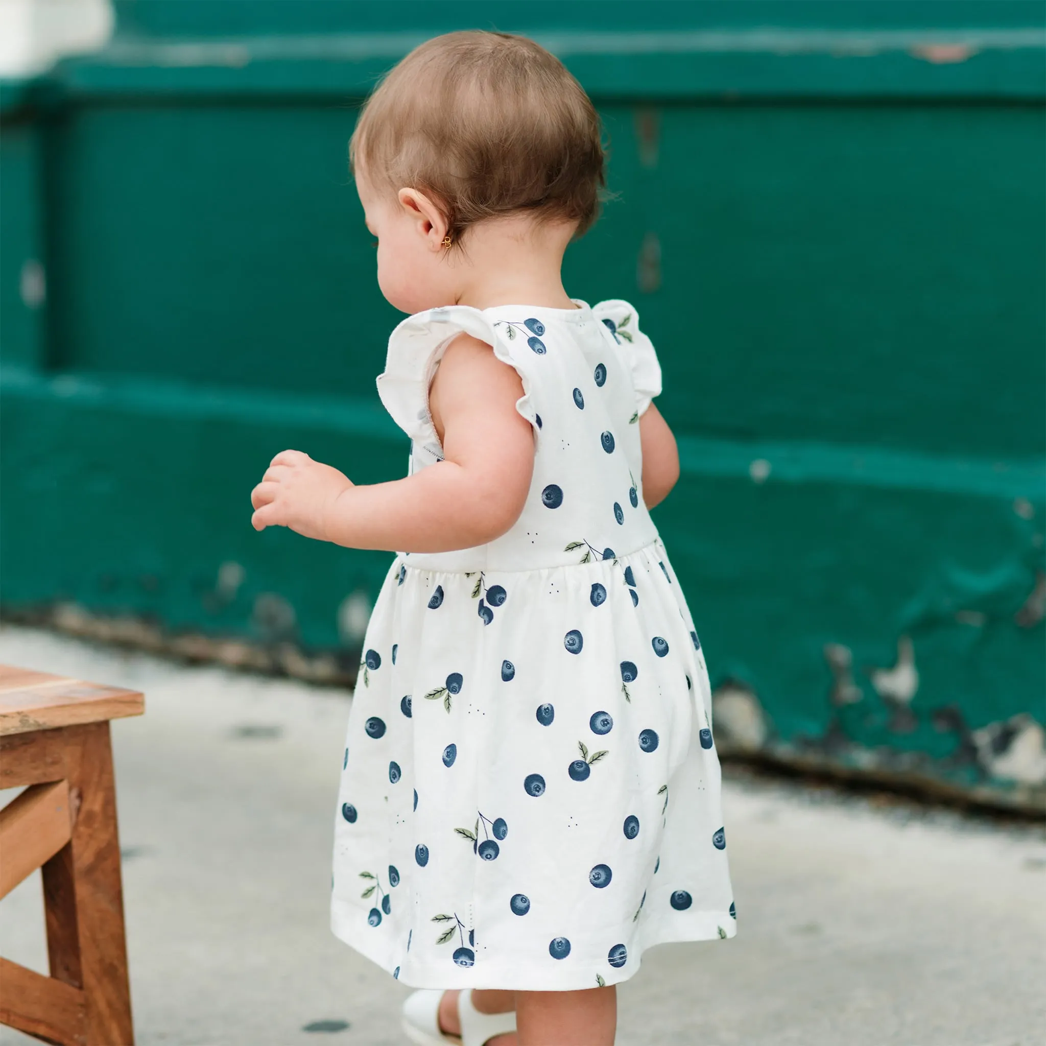 Firsts par Petit Lem Robe Bleuet 3-24mois