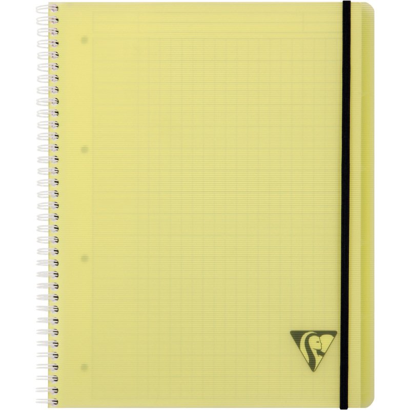 Cahier spirale Clairefontaine Proactiv'Book Linicolor Fesh 22,5 x 29,7 cm assorti aléatoire grands carreaux avec cadre en-tête-160 pages