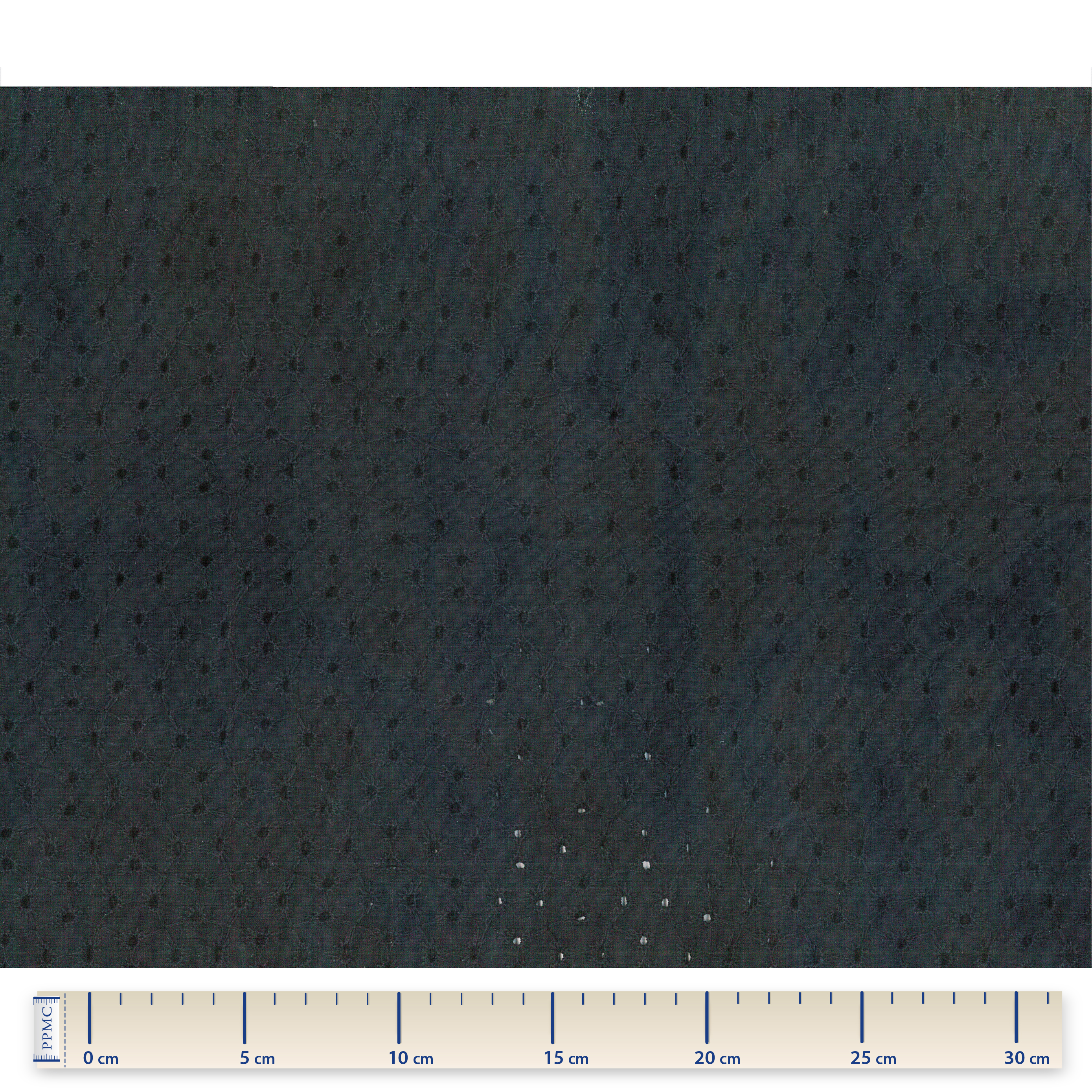 Tissu Coton Au Mètre Broderie Anglaise Noire