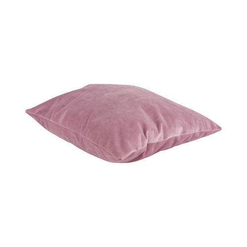 Present Time - TENDER - Violet