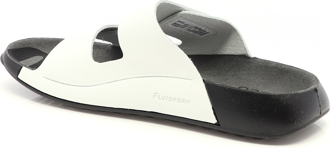 77120 ECCO