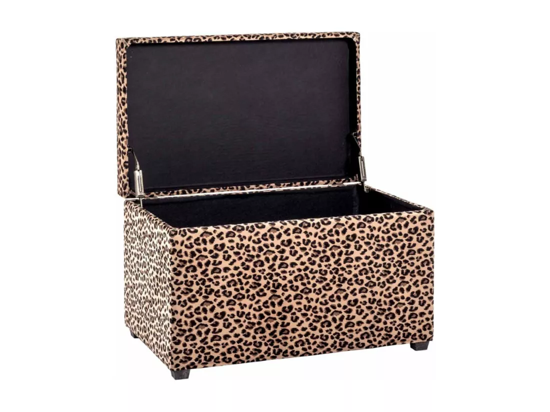Coffre de Rangement 