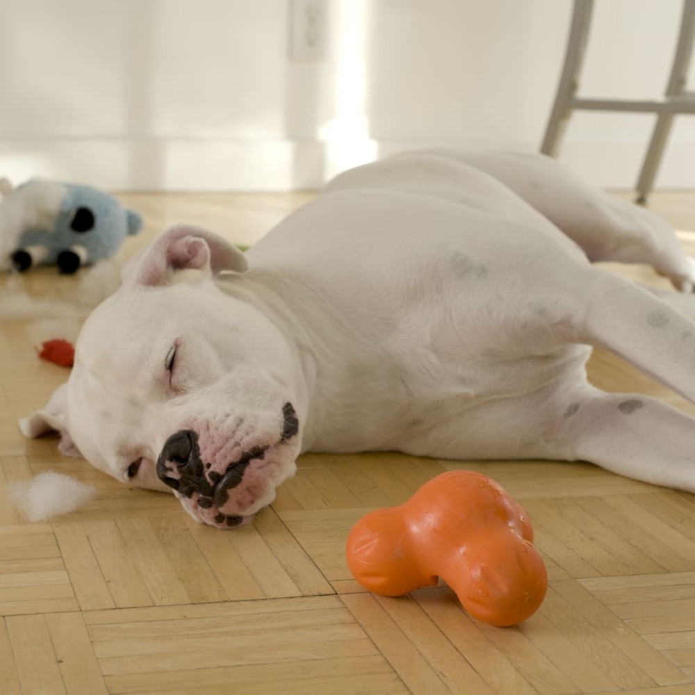 Jouet pour chiens avec zogoflex tux orange mandarine s