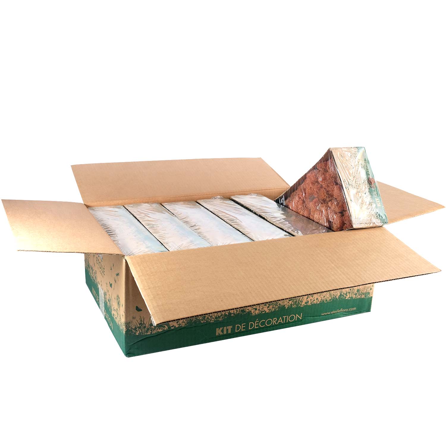 Lic/0573 lichen stabilisée mangue w-box 0,5 kg