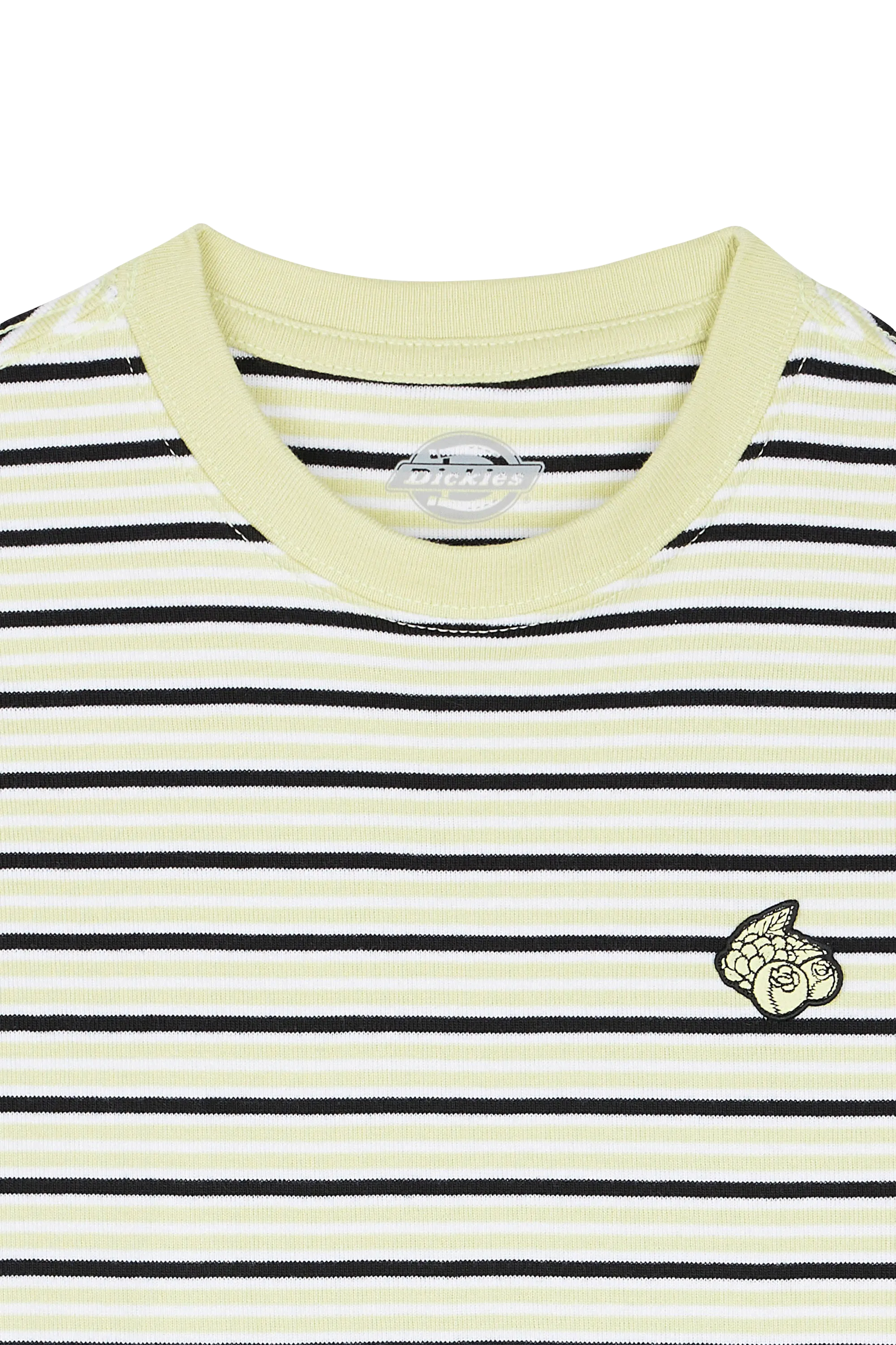 DICKIES Crop top ALTOONA STRIPE SS Vert