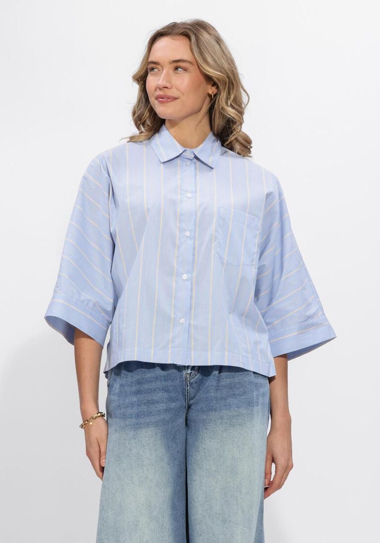 blauwe janice blouses carl blouse