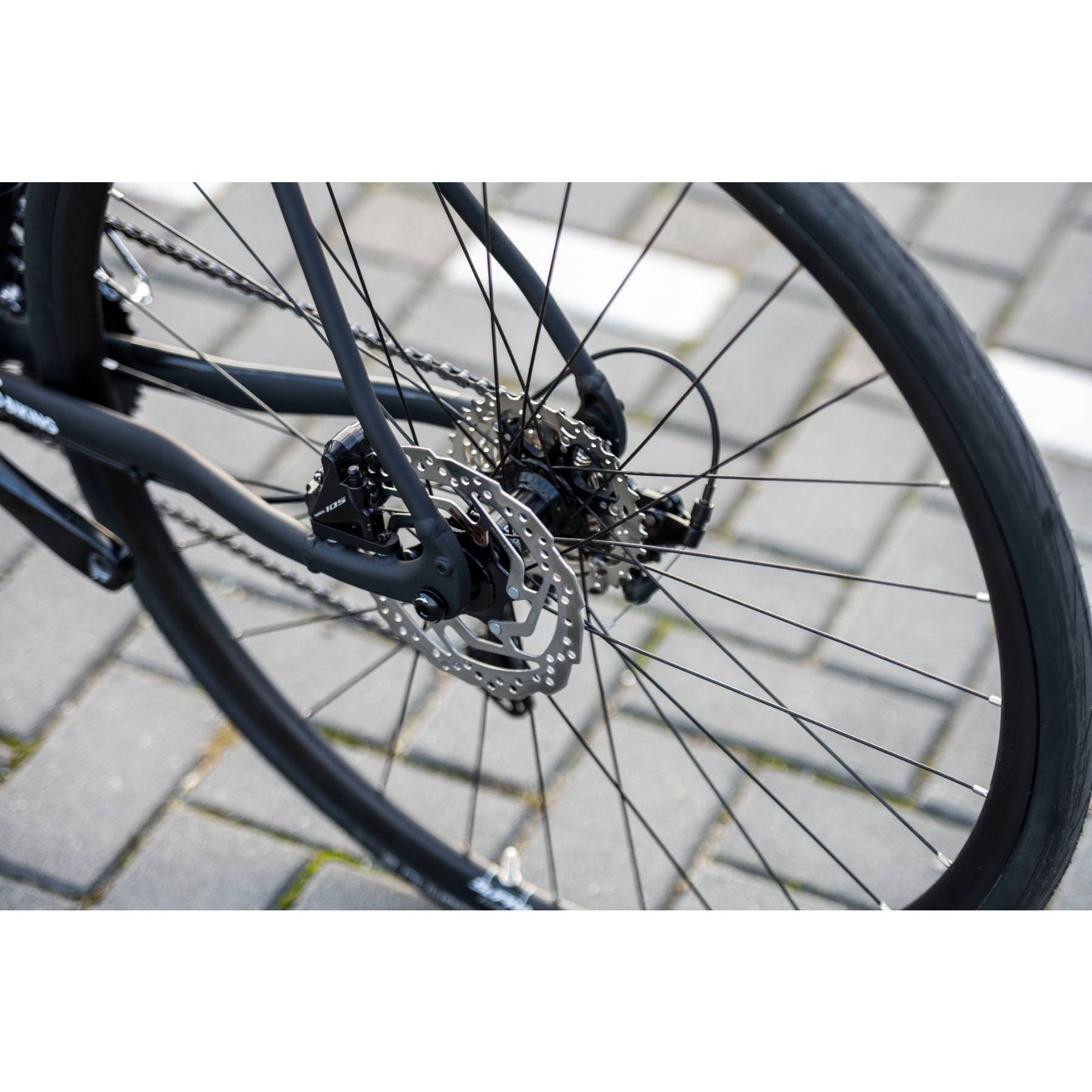 Sensa Modena LTD 105 Disc 2025
