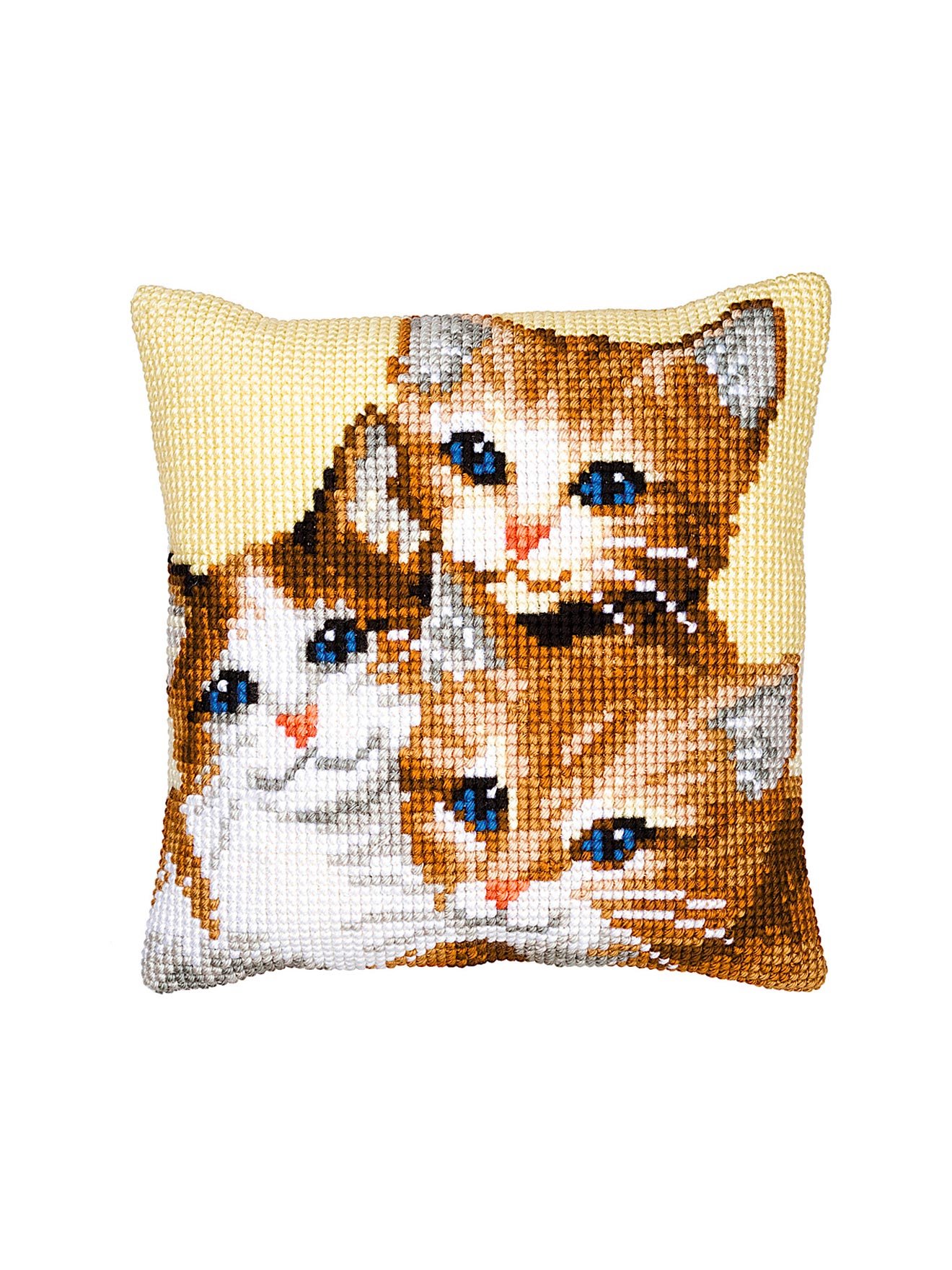 Kit canevas pour coussin