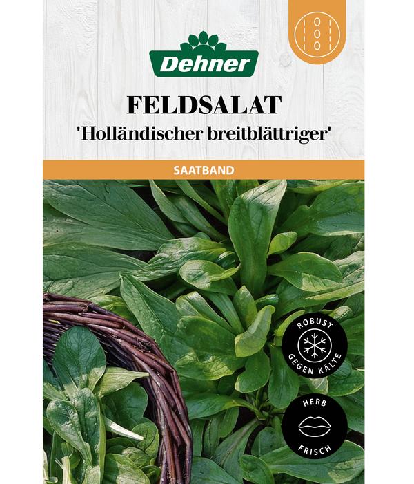 Dehner Saatband Feldsalat 'Holländischer