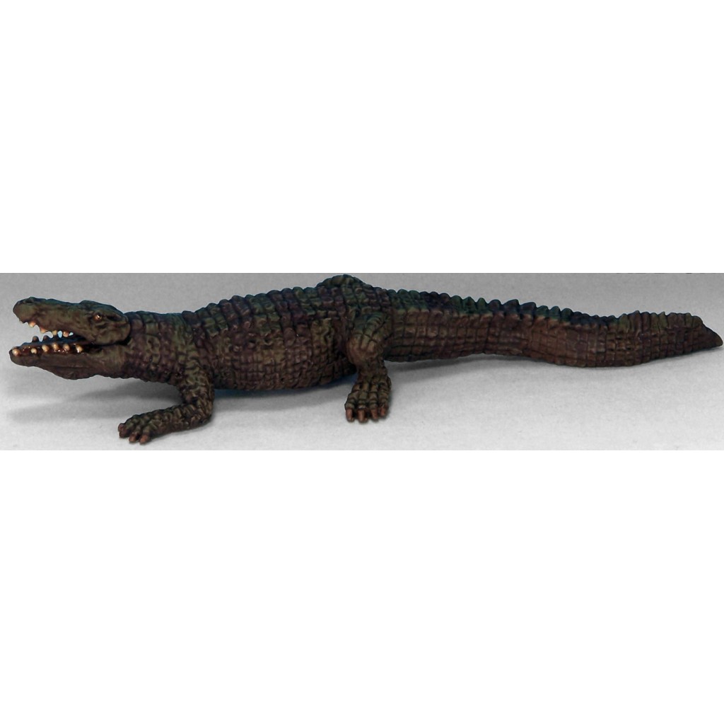 7TV - Nile Crocodile