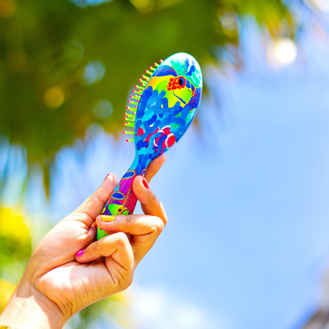 Petite brosse à cheveux - Ladypop Small