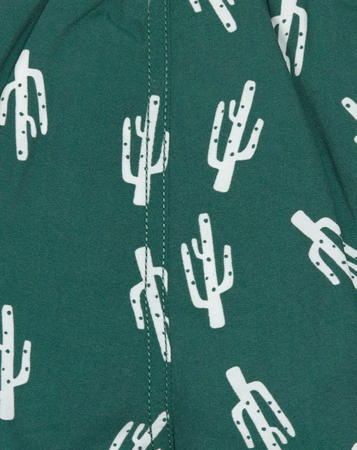 Badeshorts CACTUS in green