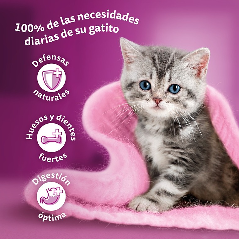 sachês de 85g de Whiskas Pure Delight Junior Selection Gelatina de Aves para Gatos