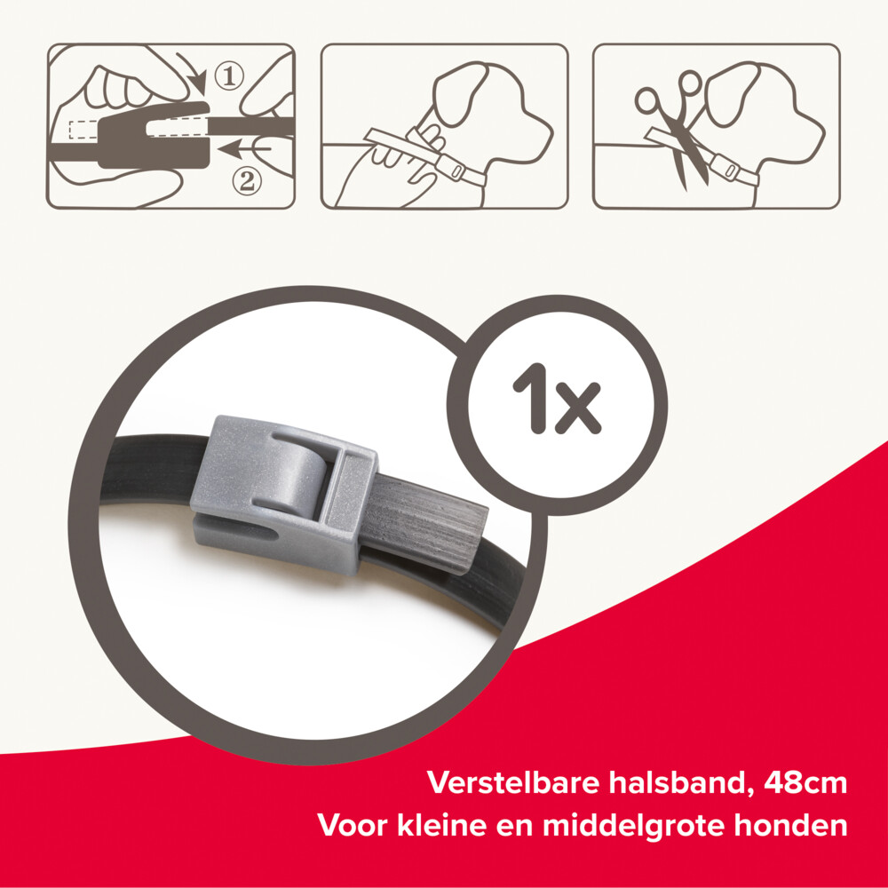 Beaphar Canishield Anti Vlooien en Tekenband Hond S - M48 cm