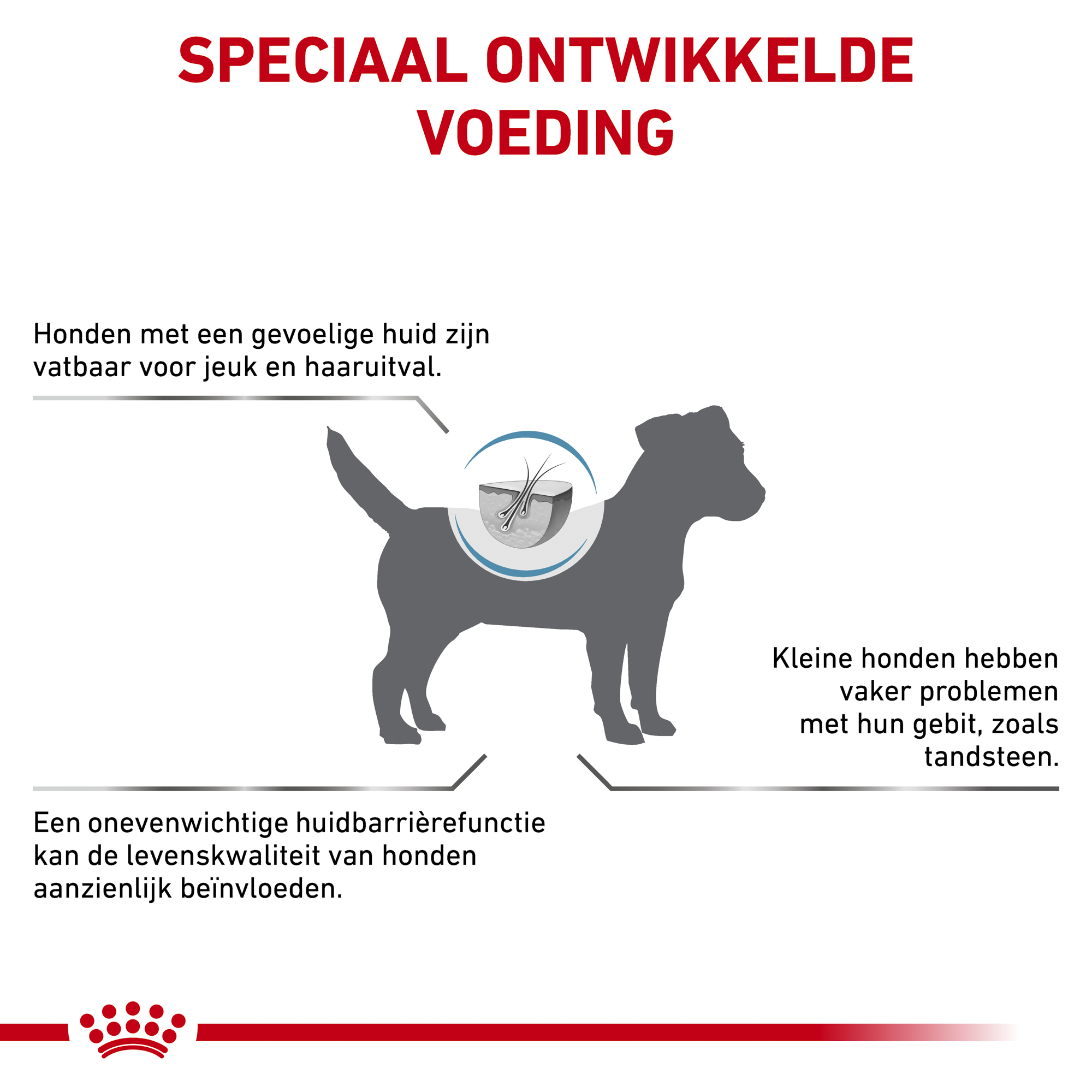 Royal Canin Skin Care Kleine Hond