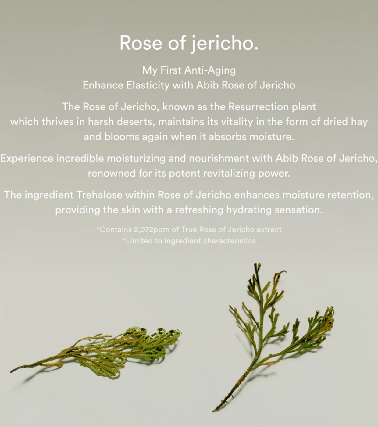 Abib - Sérum Firmador Jericho Rose Bifida