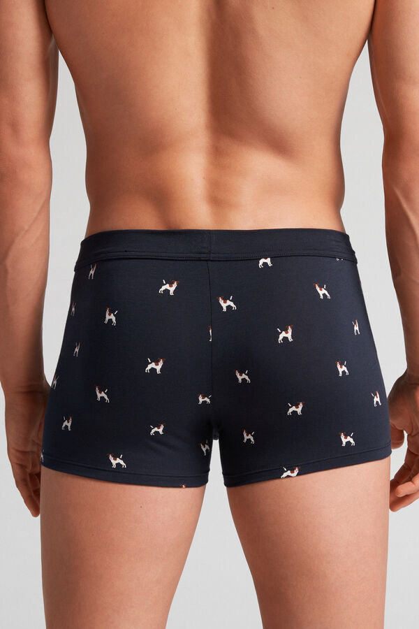 Cuecas Boxer Jack Russell em Algodão Natural Fresco Supima®