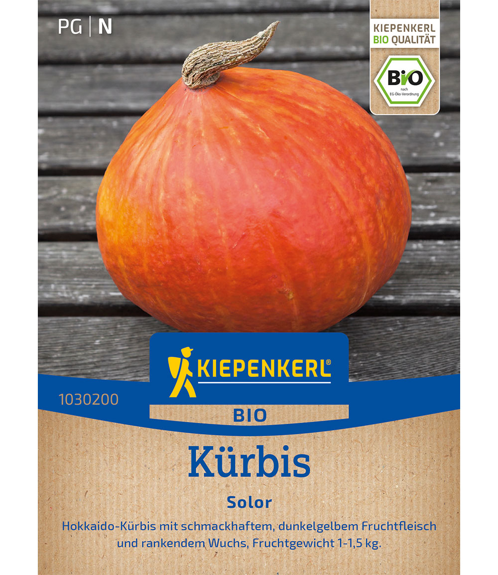 BIO-Kürbis 'Solor'