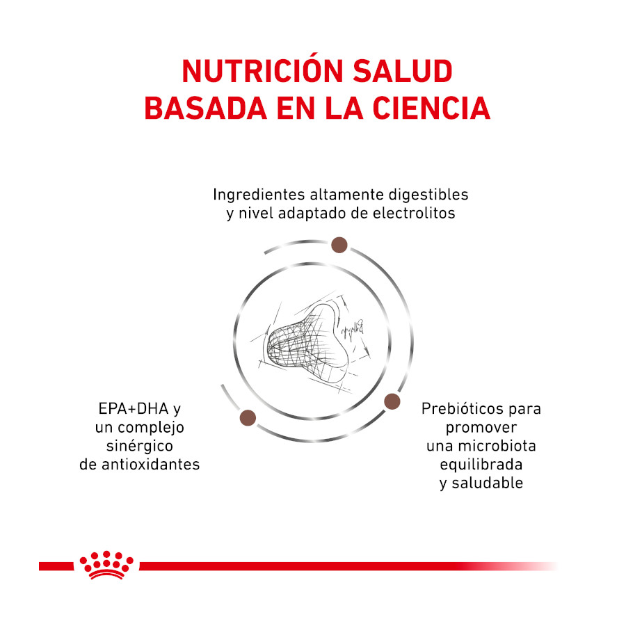 Ração para gatos Royal Canin Veterinary Gastrointestinal Fibre Response
