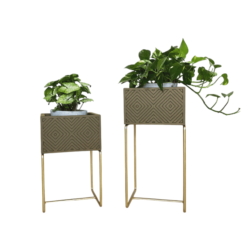 Nevi the plantbox Olivgrün, Gold M