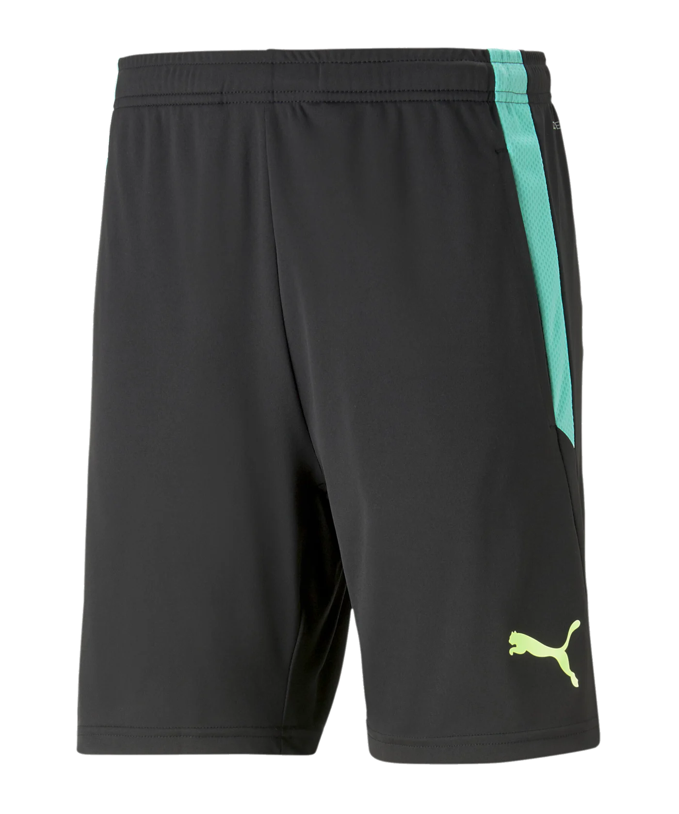 PUMA teamLIGA Training Short 2 Kids Schwarz F51