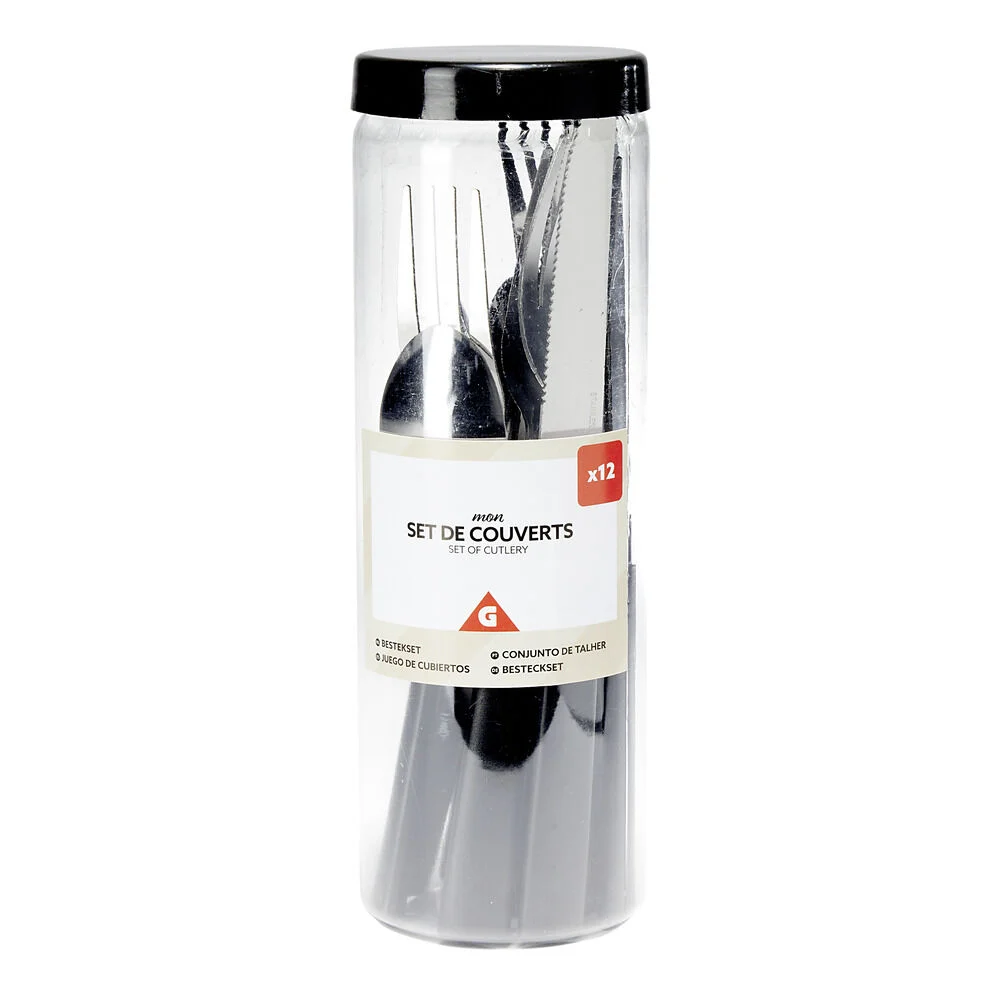 Ménagère couverts acier 12 pièces dans boîte plastique (4 modèles)