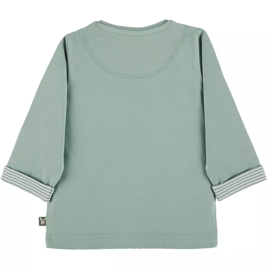 Sterntaler Langarm-Shirt Emmi grün