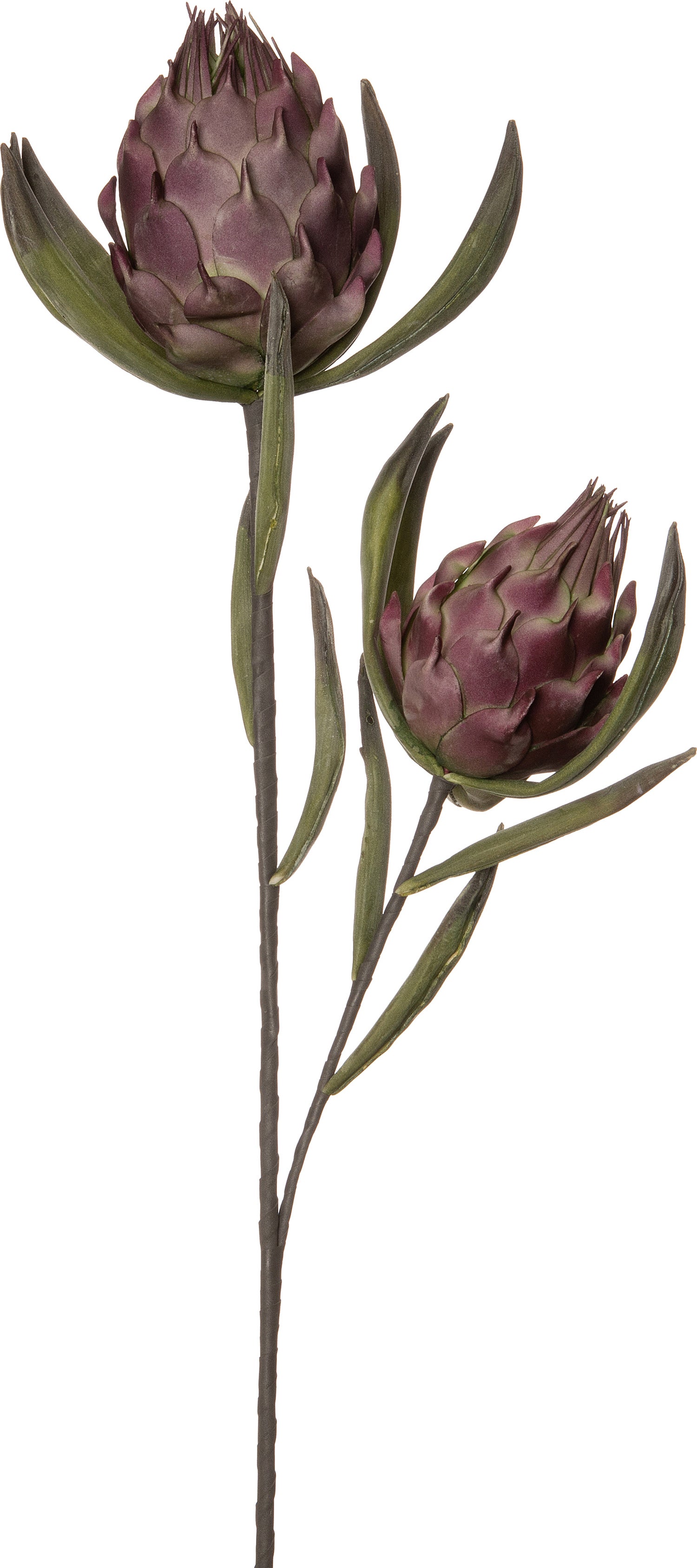 Intratuin kunstbloem bloemknop 92 cm