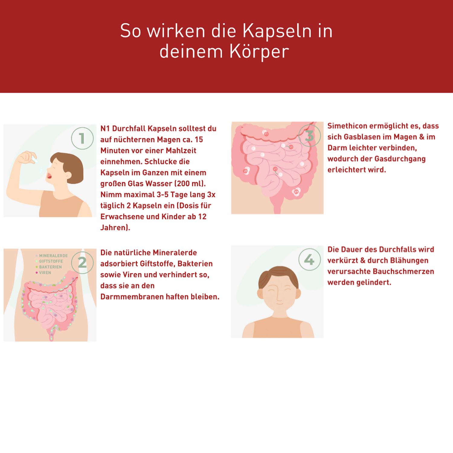 N1 Durchfall Kapseln – verkürzen die Dauer & adsorbieren Toxine, Bakterien & Viren