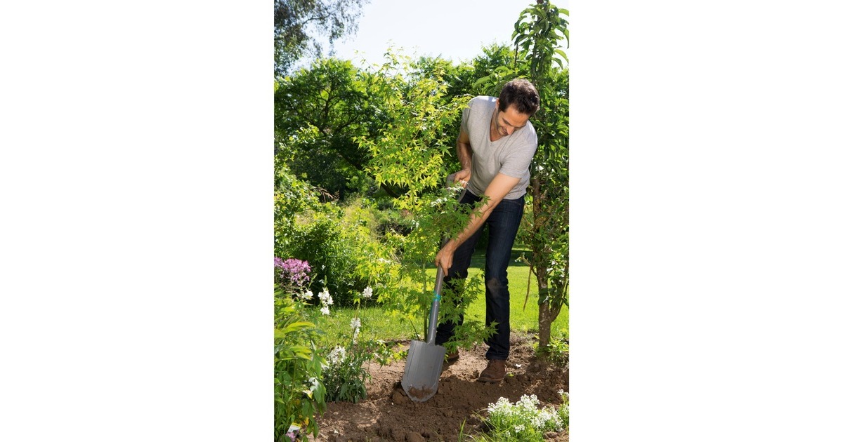 GARDENANatureLine Puntspade  (Houtkleur/turquoise, 17001-20)