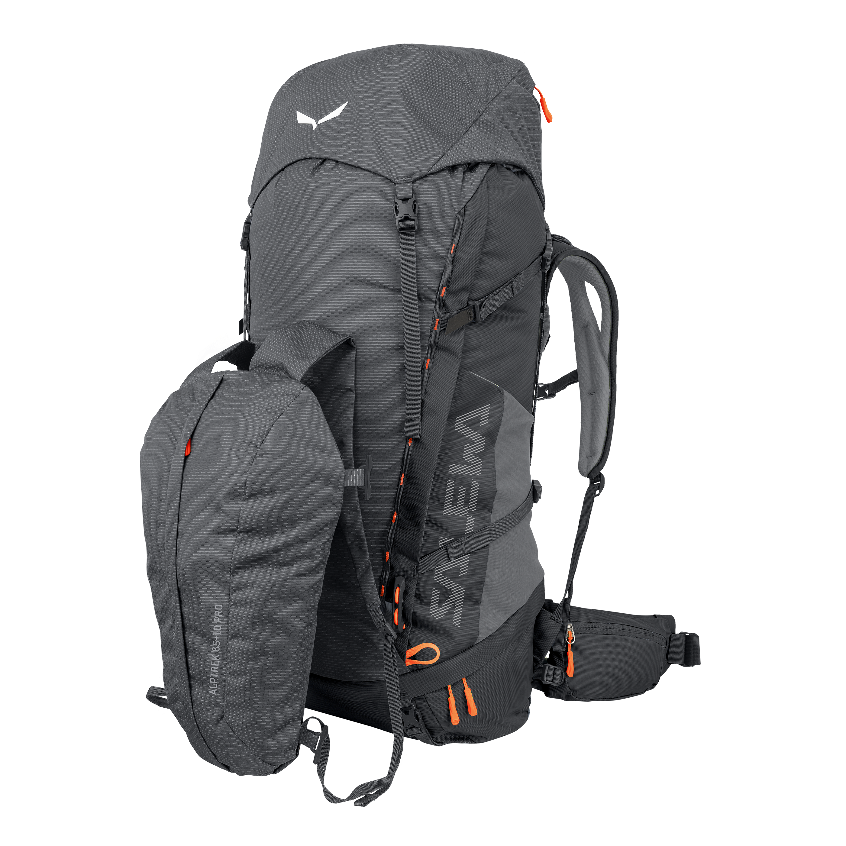 Alptrek 65+10 L Pro Rucksack