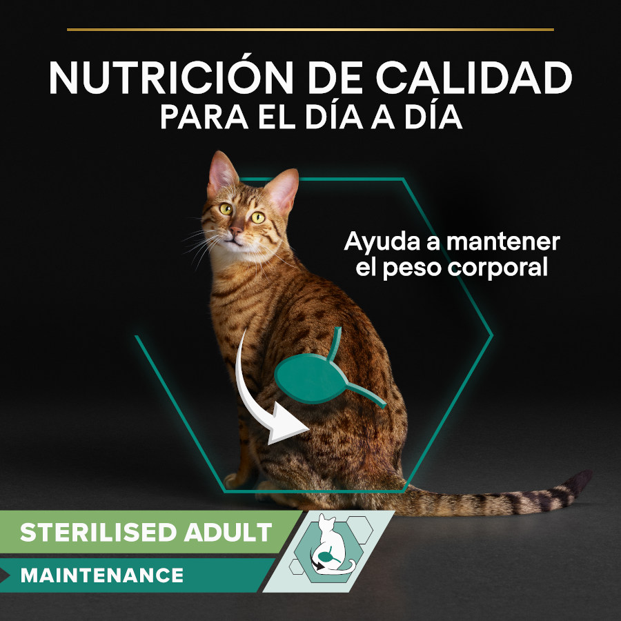 Pro Plan Adult Sterilised Maintenance Frango e Carne ao Molho para Gatos - Pacote com 10 sachês