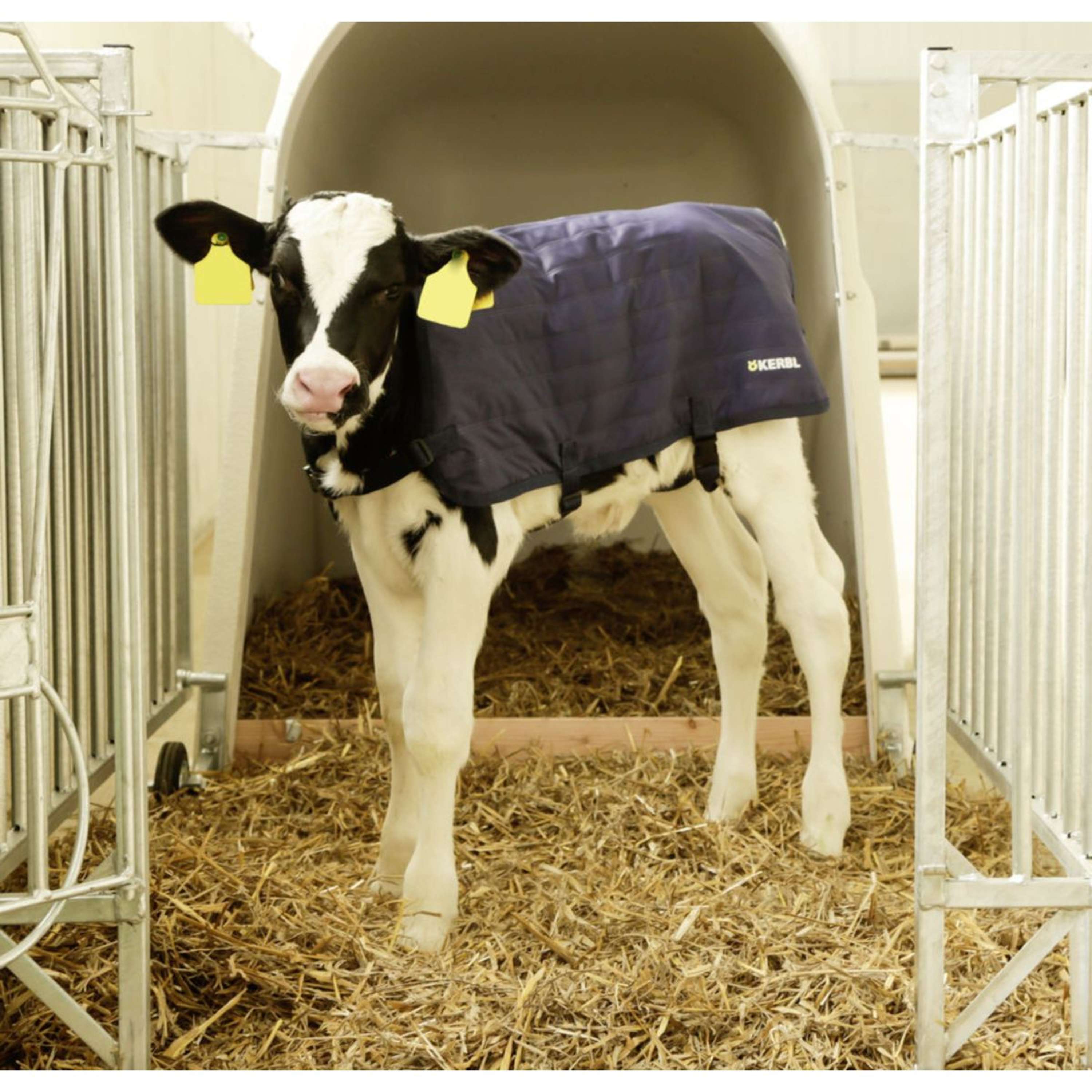 Kerbl Kalverdeken EasyWear Licht Model