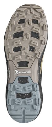 Chaussures de Trail Millet Intense Beige