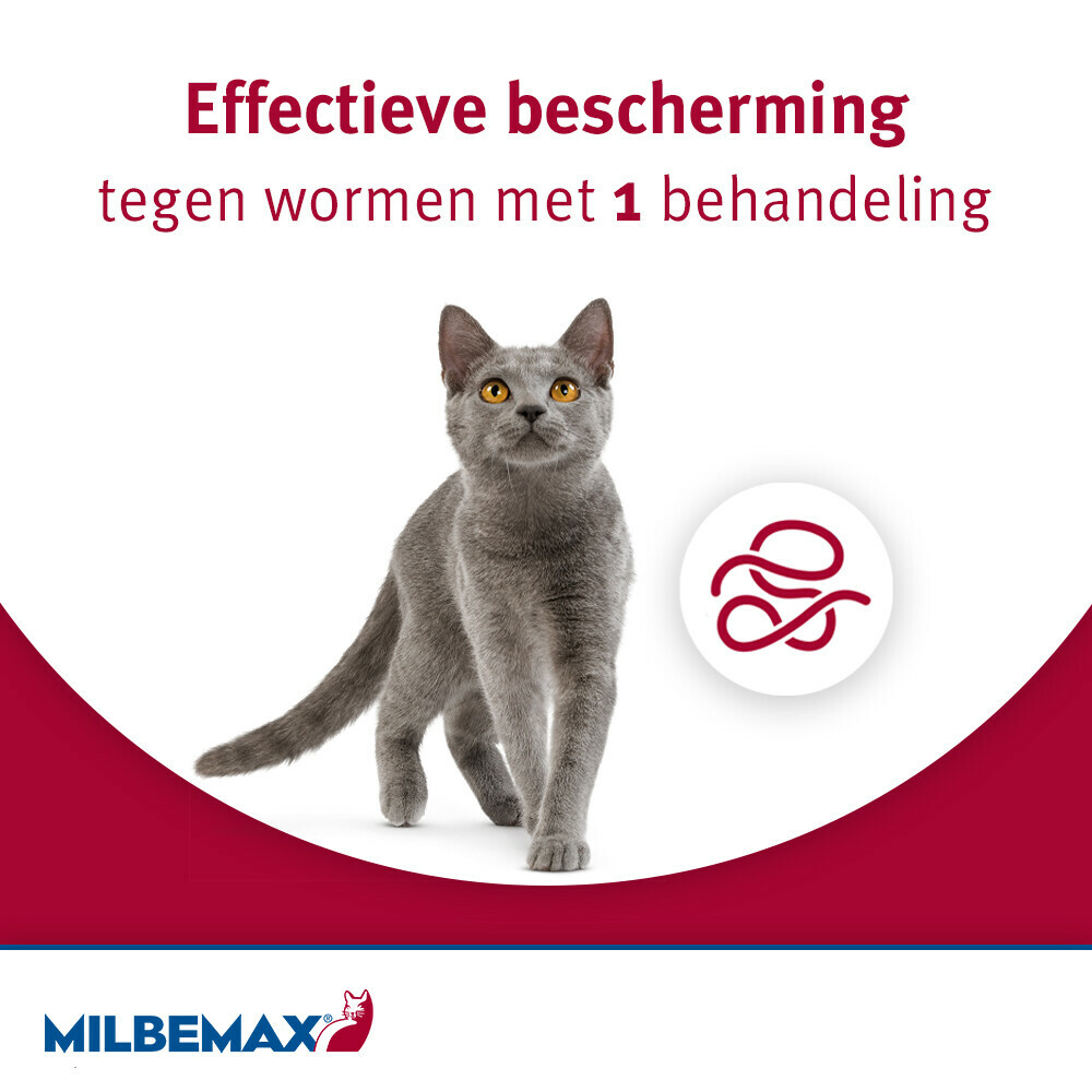 Milbemax Ontworming Tabletten Kat/Kitten 0,5 - 2 kg2 tabletten