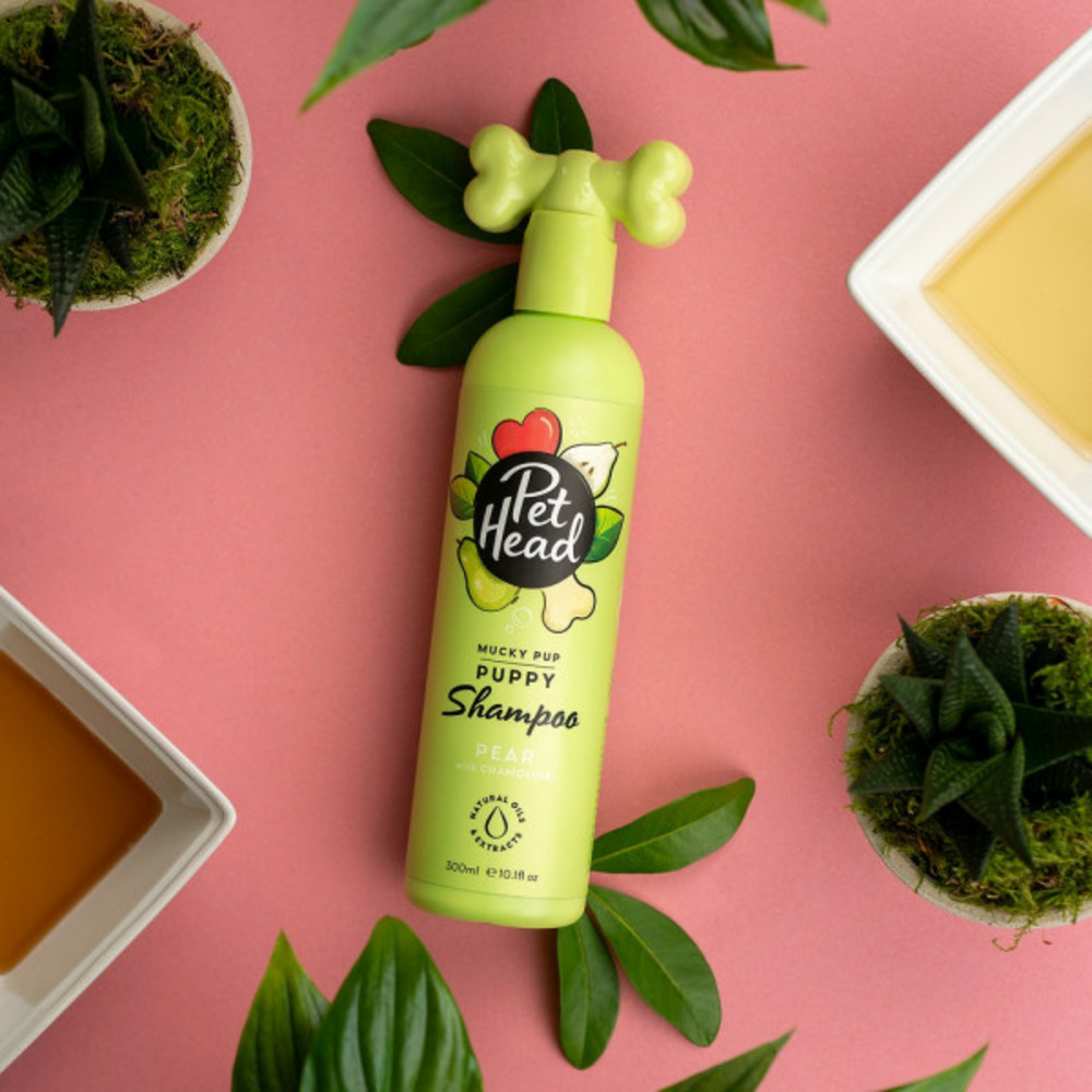Shampooing mucky puppy camomille (300 ml)