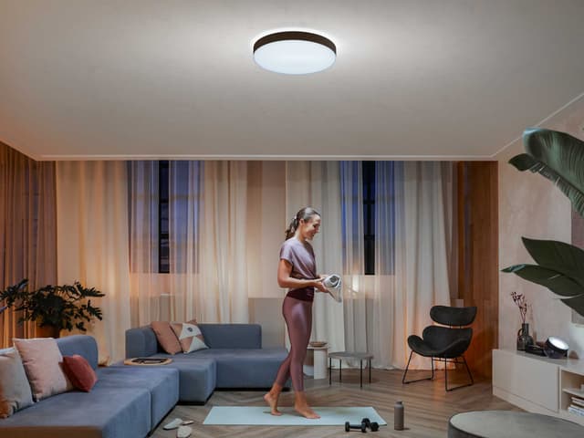 Philips Hue Enrave XL loftslampen (sort)
