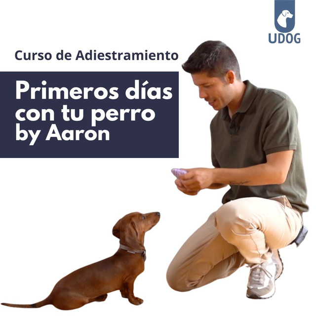 Curso 