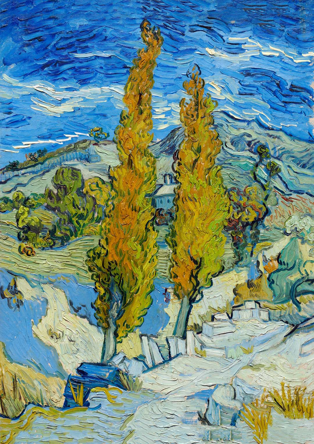 Die Pappeln in Saint-Rémy von Van Gogh