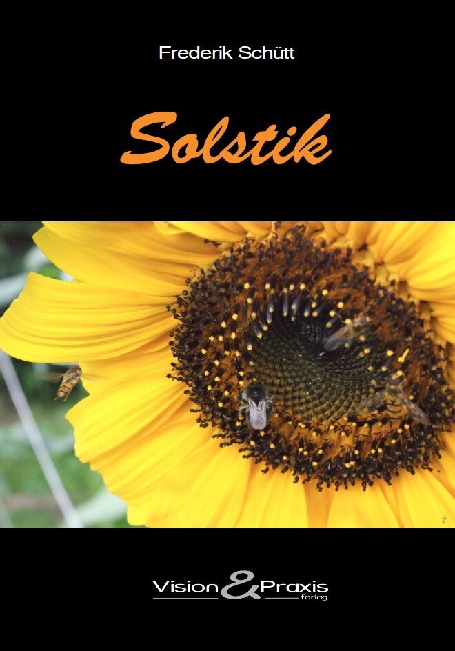 Solstik - Frederik Schütt - Bog