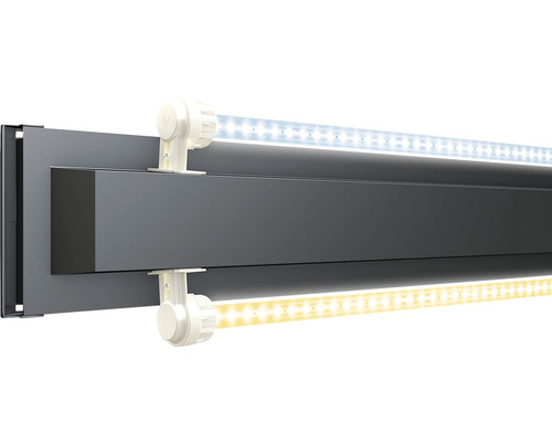 JUWEL Rio 450 SBX aquariumcombinatie met ledverlichting, verwarming, filter en grijze kast