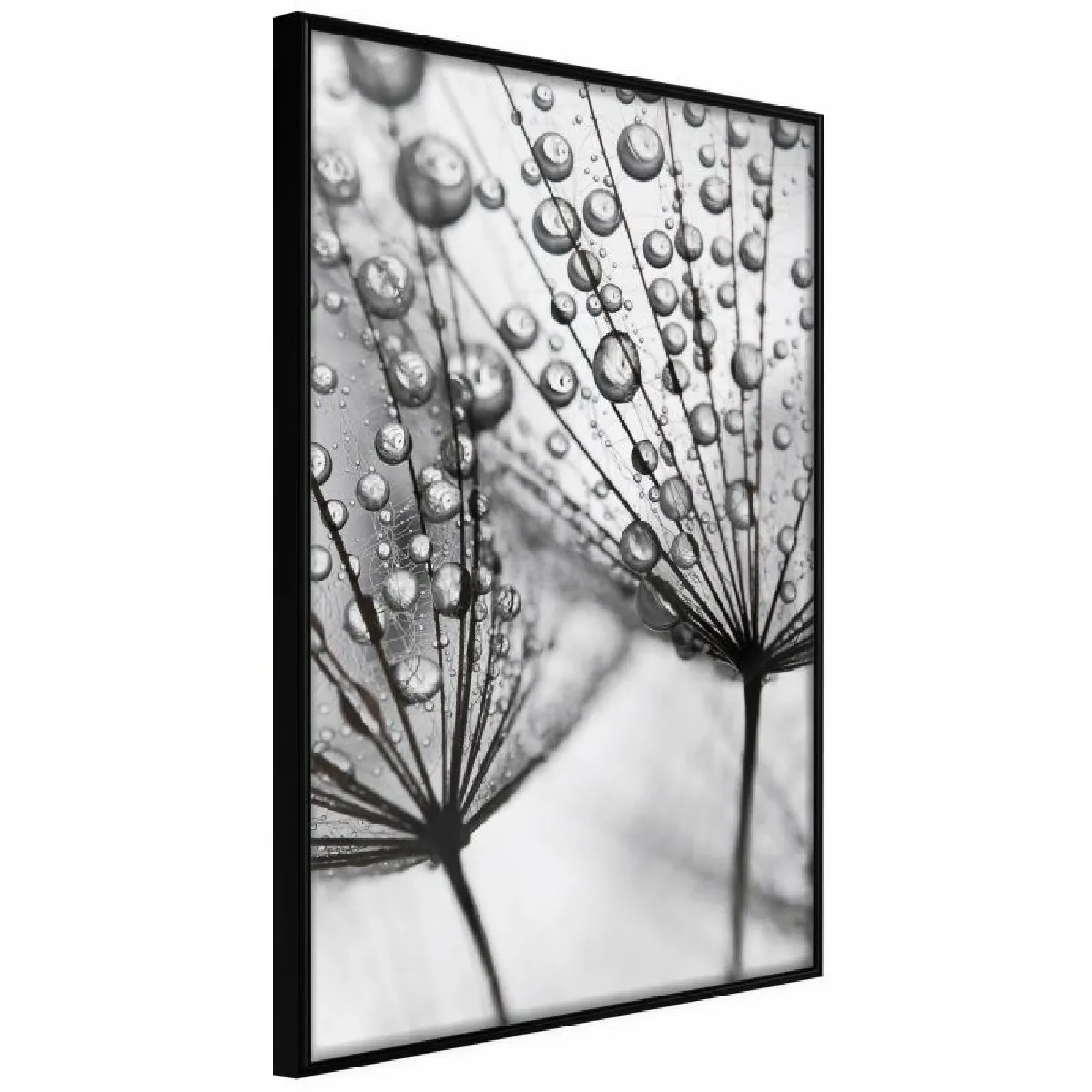 Paris Prix Affiche Dew in the Macro Scale