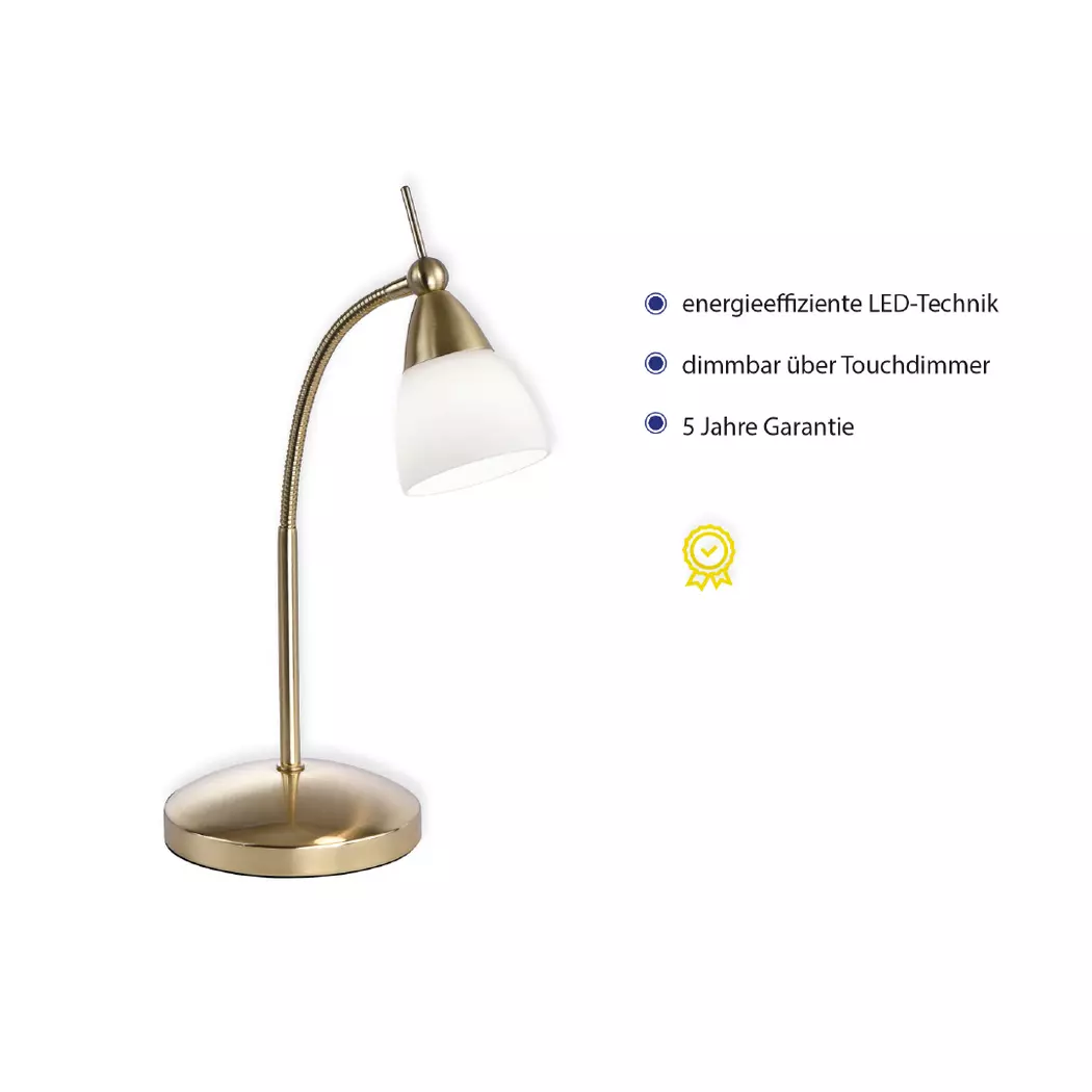LED-Tischleuchte Pino