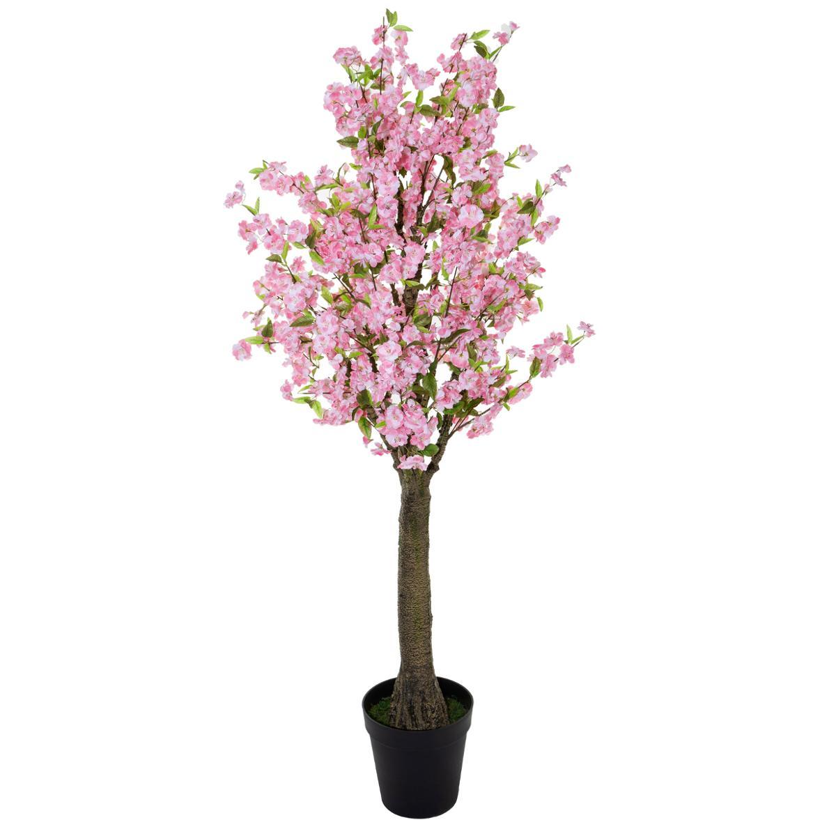 CERISIER ROSE H.200CM