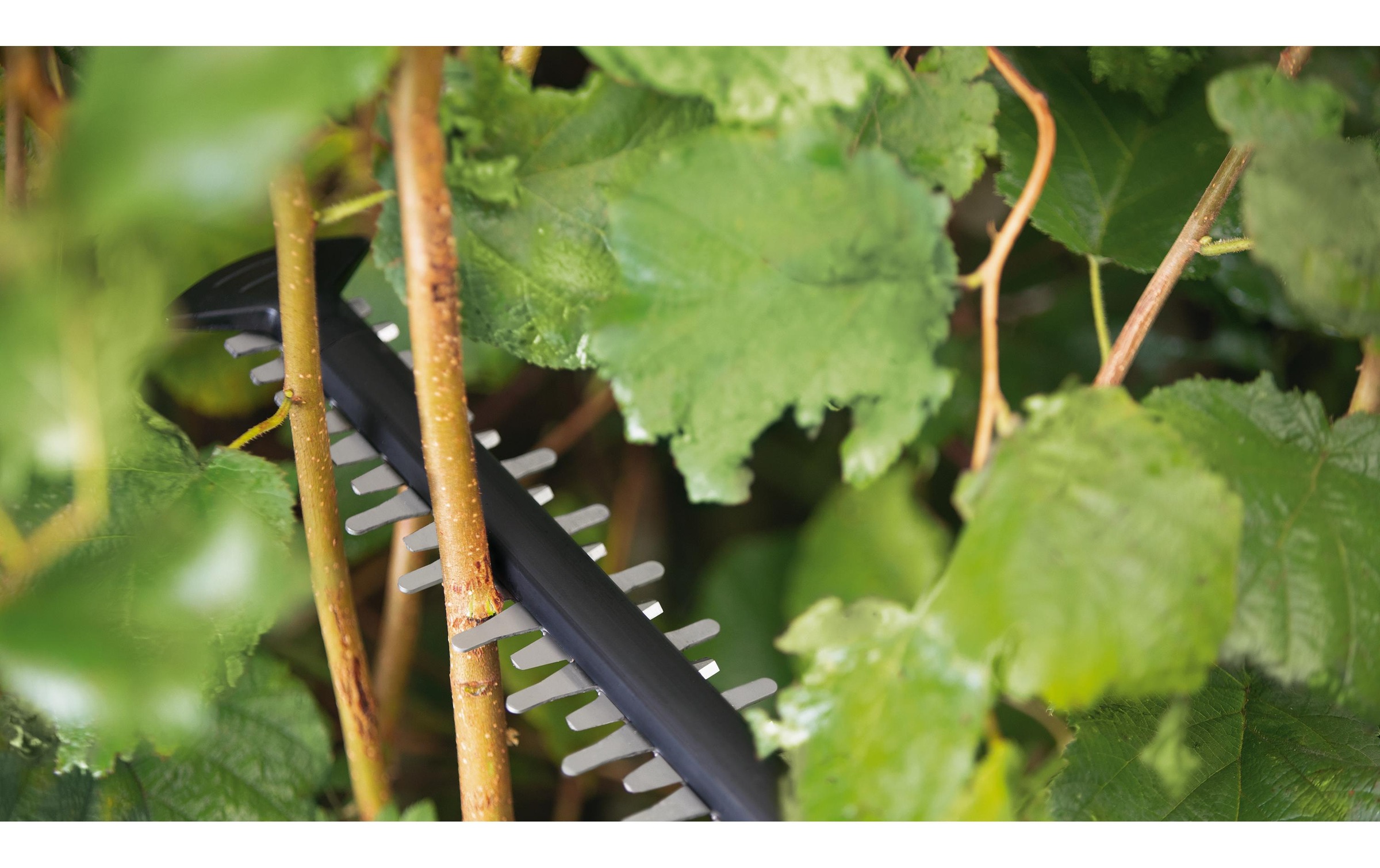 Akku-Heckenschere »UniversalHedgeCut 18 V-55« ()