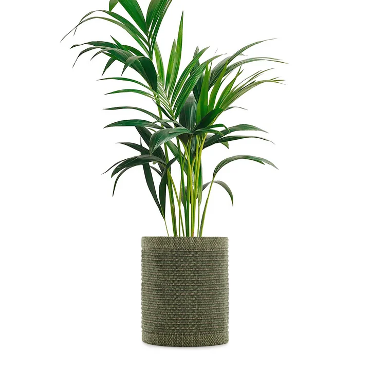 Kartell - Kleo Blumentopfüberzug, 140 x 30 cm, grün