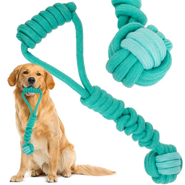 Draleke / Kampleke for Hund – Hundeleke