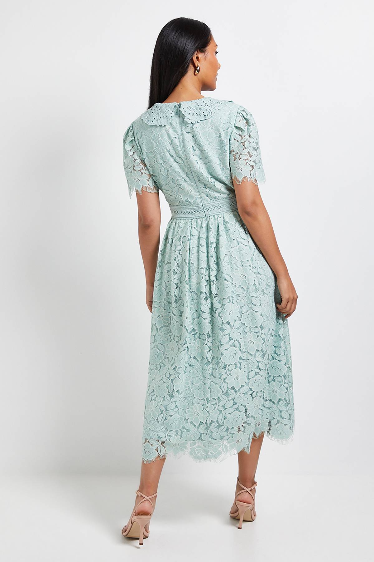 Wallis Robe Midi Boutonnée à Col en Dentelle Petite Taille