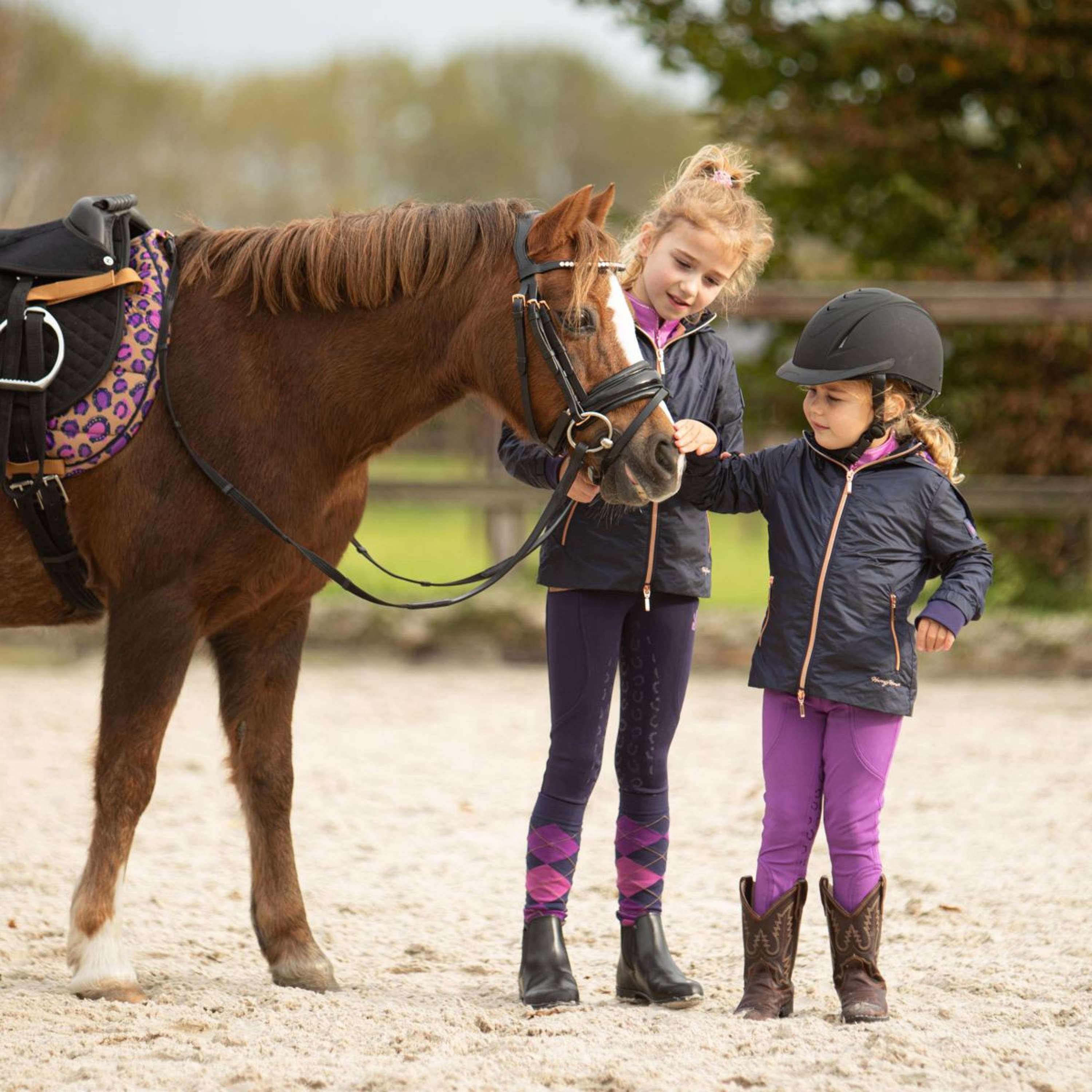Harry's Horse Jas Loulou Jule Eclipse