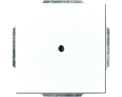 Busch-Jaeger 1742-84 Blinde middenschijf met steunring Future Linear studiowit
